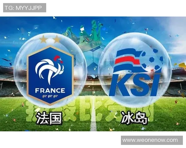 如何购买法国对冰岛比赛的门票及相关信息指南