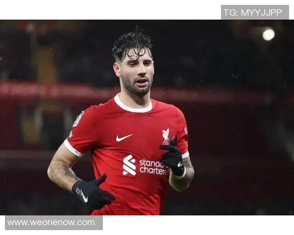 探寻索博斯洛伊的历史与文化魅力，揭开这座城市的神秘面纱