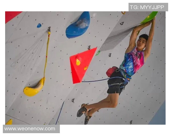 北京攀岩队个人能力表现数据分析与提升策略探讨MBA