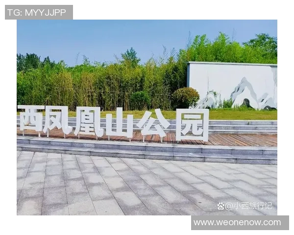 西悉尼漫步与凤凰之旅的精彩对比与体验分享