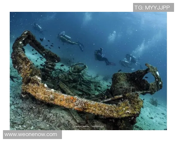 加莱诺的艺术魅力与文化影响力探讨：从历史到现代的多维视角分析