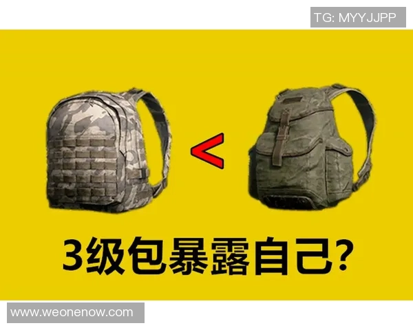 和平精英战术解析:TES快攻策略背后的深层思考与实践MBA 和平精英战术解析:TES快攻策略背后的深层思考与实践MBA