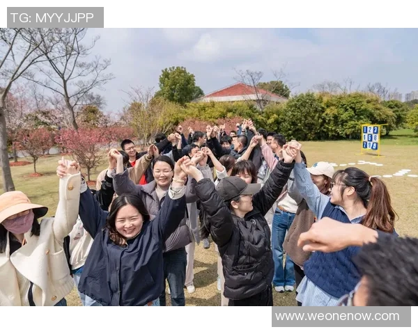 南京飞盘队运营革新探索：从团队建设到市场推广的全方位提升之路