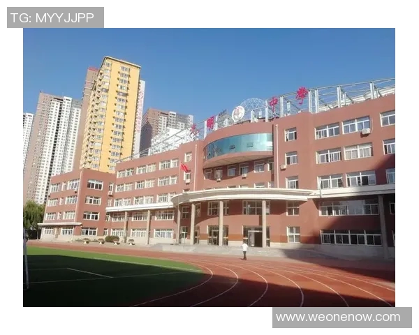 苏伟的奋斗故事：从平凡到卓越的成长之路与人生哲学探讨