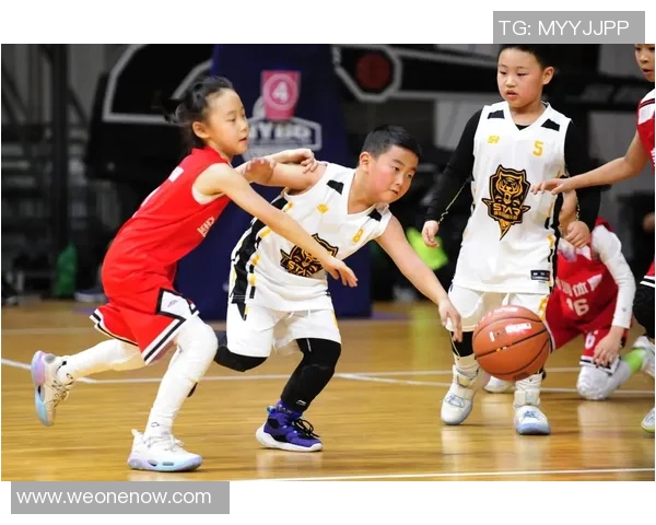 专访张敏：探寻篮球领域成功背后的秘密与经验分享