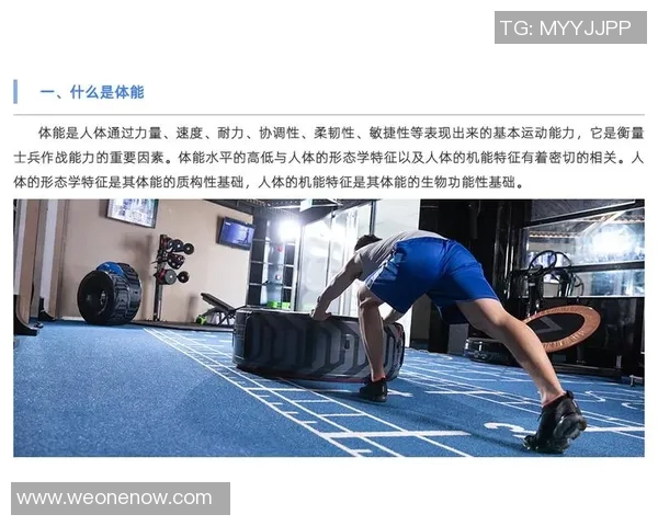 南京篮球队耐力表现的数据分析与训练策略探讨