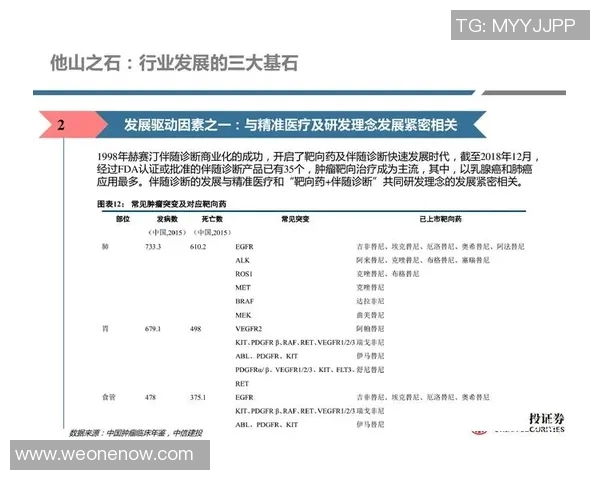 南京乒乓球队的节奏体系与战术运用探讨及其对比赛的影响分析